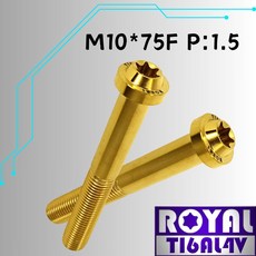 ROYAL M10*75F P:1.5 飛碟頭型螺絲 64鈦/鈦合金螺絲 土豪金, 1個