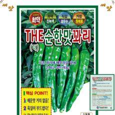 더순한맛 꽈리고추 씨앗(30립) 기존 꽈리에 매운맛을 없애 순하고 부드러움, 1개