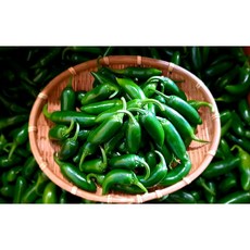 (가락시장까망콩) 농가에서 바로 따서 보내드리는 피클용 장아찌 할라피뇨고추 1kg, 1개