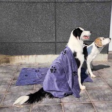 개 대형 목욕 타올, 1개, 원컬러
