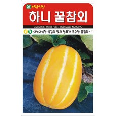 아람종묘 하니 꿀참외 씨앗 50p, 3개