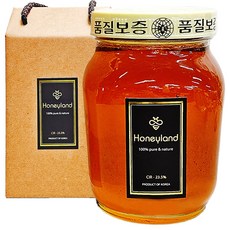 허니랜드 아카시아꿀 잡화꿀 야생화꿀 지리산 산청 양봉 자연 벌꿀, 1.2kg, 1개