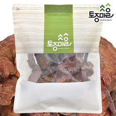 자연산국산 영지버섯 500g