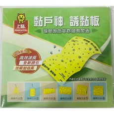 上黏喵喵大隊 黏蠅板5片裝 台灣製造 強力黏蠅紙 蒼蠅剋星, 1個