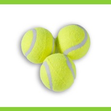 디랩 테니스공 3개입 연습용 근육마사지