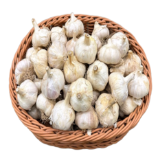 [싱싱야채소] 국내산100% 홍산마늘 5kg 10kg (등급선택), 1개, 5kg-소