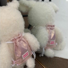 도그블링 강아지 아이스 가방, 소라