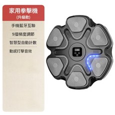 智慧音樂拳擊機 藍牙互動牆靶 兒童成人運動訓練, 新升級6位智慧音樂拳靶 含稅, 1個