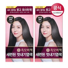 리엔 흑모비책 세련된 멋내기 염색제, 내추럴블랙, 2개