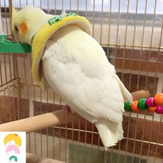 앵무새 깃털 자해방지 넥카라 앵무새옷 보호 조류옷 gtm+939hm, XL_핑크