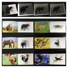 무아레간섭 움직이는 물결무늬 동물원 매직북 체험 중등과학 관찰 과학교실 과학교구, 3개