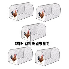 야외 닭장 철조망 활주로 조류 트랙 오리농장 양계장, 1개, 5m 터널 닭장+스위치문