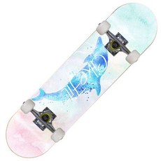 스케이트 보드 입문자 초보자 연습용 숏 짧은, V