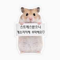 (아크릴) 햄찌 재밌는 인용구 웃긴 병맛 문구 햄스터 아크릴 맥세이프 스마트톡, 1개, 타입 11 - 개소리자제부탁해요, [맥세이프톡]_햄찌재밌는인용구
