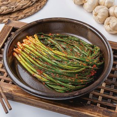 더아삭 알싸하고 맛있는 국내산 전라도 파김치, 5kg