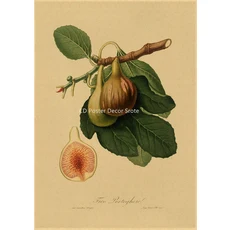 꽃 시장 포스터 레트로 크래프트 종이 인쇄 DIY 빈티지 홈 룸 꽃집 장식 미적 키스 아트 벽화, A4 8.3x11.8inch, 19