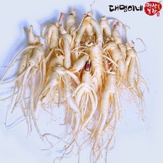 금산인삼 4년근 5년근 6년근 세척 무세척 수삼 가정용, (세척)난발 15뿌리-500g, 1개