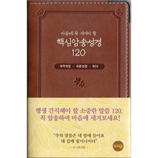 마음에 꼭 새겨야 할핵심암송성경120(브라운)(개역개정)(NIV):쉬운 성경, 아가페출판사