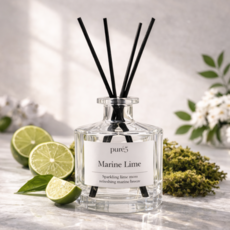 PURE5 프리미엄 디퓨저 선물용 실내방향제 마린라임, 1개, 250ml, 라임, 마린