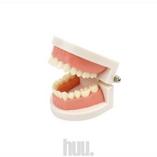 휴가모두 치아모형 치아모양