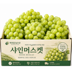 [명품 포도 농가]초특가 고당도 샤인머스캣, 1박스, 1kg