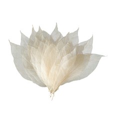 shangren DIY 웨딩 장식 Cardmaking 꾸밈 선물 상자에 대 한 아트 멀티 컬러 해골 잎, 말린 꽃