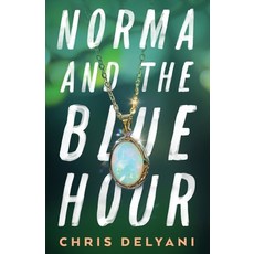 (영문도서)Norma and the Blue Hour Paperback, Solid Oaktown Books, English, 9798992663105