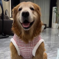 寵物服飾 狗狗衣服 貓咪衣服 中大型犬 冬天加厚保暖 寵物衣服, 紅色, 1個