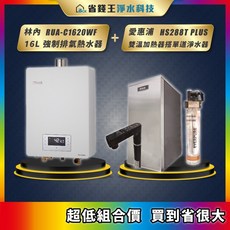 林內 RUA-C1620WF 16L強制排氣熱水器 愛惠浦 HS288T PLUS 雙溫加熱器 搭 4H2單道淨水器, RUA-C1630WF
