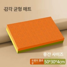 운동매트 요가 운동기구 피트니스 체조 바닥 스포츠 패드 체조기본매트 필라테스 무릎 접이식 가정용 소형 초보자용입문 제품, 5.[중형-주황] 50x30x4cm, 기본 모델명/품번