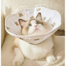 [댕냥이 필수템] 꿀잠 부르는 푹신한 강아지 고양이 넥카라 수술 후 중성화 핥음방지, 감성 곰돌이, 1개