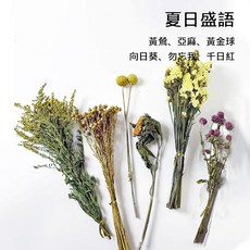 懶懶喵 造景花束 乾燥花 倉鼠籠 夏季除臭 花草造景包 自然零添加 天然花草 裝飾造景 免修剪, 1個, 夏日盛語, 70g