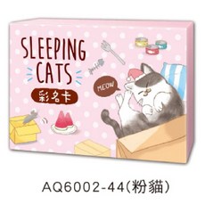 AQ6002-46(粉熊) 留言傳情小卡 彩色名卡 附贈禮盒 收納方便, 1個, 粉貓