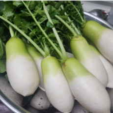 [굿피플] 절임알타리무 알타리무 국내산 알타리 총각무, 1개, 절임 알타리 15kg