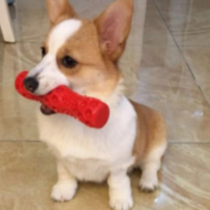 멍냥이월드 강아지 라텍스 뼈다귀 장난감, 1개, 빨강