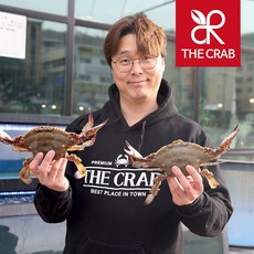 당일조업 산지직송 제철 활꽃게 생물꽃게, 1개, 몽당 숫 1kg (3-7미/급랭)살100%