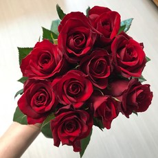 에밀리정원 도미니카 레드장미 1단(10대) 농장 생화택배 화훼농가돕기, 1개