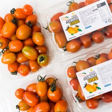 [재구매 1위] 망고향 스테비아 대추방울토마토 HACCP 인증, 1개, 1kg(500g * 2팩)