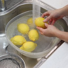 국산 깔끔한 싱크대 설거지통 싱크대야 세척볼, 반타원, 1개