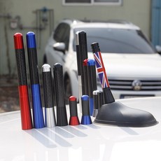 미니 쿠퍼 카본 숏 안테나 볼 교체형 컨트리맨 안테나 호환 용품, 카본 롱타입 (카본실버)