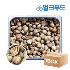 백합 백상합 조개 10kg 생합 칼국수 조개탕 구이 찜, 1개