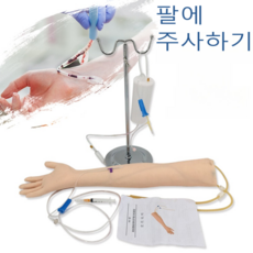 팔 모형 정맥 주사 모형팔 간호사 혈관주사 정맥주사연습 실습용 세트 iv연습세트 실리콘팔모형, 1
