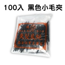 時尚髮品 100入 髮夾 小黑夾 造型固定必備