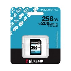 金士頓 SD 記憶卡 適用於相機, 1個, SDG4/256GB