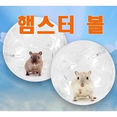 햄스터 볼 18cm, 1개