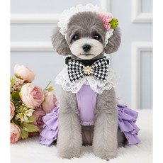 베라킴 댕냥이 샤샤루이 보타이+나비핀, 1개, 샤샤체크