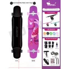 성인용롱보드 레저용 조카선물 스케이트보드, 1개, 빅피쉬베고니아