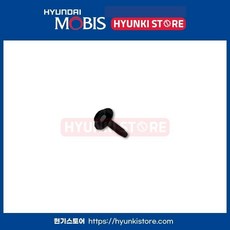 현대 기아 순정 볼트 와셔 어셈블리 1128106256B 11281 06256B, 호환 차종, 1개