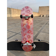 專業滑板 雙翹楓葉板面 進口支架 高彈100A輪 初學代步男女新手滑板, 如圖所示, 1個