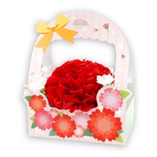 미술샘 DIY 카네이션 꽃 가방, 합포장